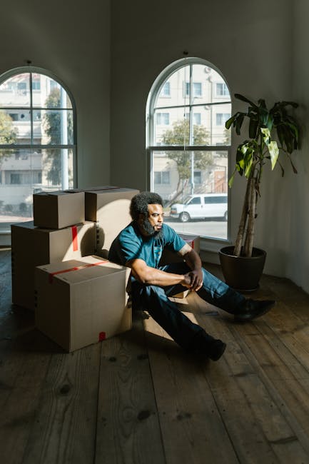 A man with curly black hair and a beard, dressed in a blue t-shirt and jeans, sits on a wooden floor inside a room with white walls and two large arched windows that let in natural daylight. Several stacked cardboard boxes, some sealed with red packing tape, are positioned around him, indicating an ongoing packing or home relocation process. A tall potted plant with broad green leaves stands nearby, partially illuminated by the sunlight streaming through the windows. Outside, parked cars and a building are visible through the windows. The setting suggests a staged scene of packing or preparing for a house move, and the environment appears clean and well-lit, reflecting the logistical aspects of furniture transport and moving preparations undertaken by a professional removals service such as Man and Van Camberwell.