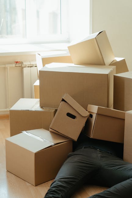 A man with curly black hair and a beard, dressed in a blue t-shirt and jeans, sits on a wooden floor inside a room with white walls and two large arched windows that let in natural daylight. Several stacked cardboard boxes, some sealed with red packing tape, are positioned around him, indicating an ongoing packing or home relocation process. A tall potted plant with broad green leaves stands nearby, partially illuminated by the sunlight streaming through the windows. Outside, parked cars and a building are visible through the windows. The setting suggests a staged scene of packing or preparing for a house move, and the environment appears clean and well-lit, reflecting the logistical aspects of furniture transport and moving preparations undertaken by a professional removals service such as Man and Van Camberwell.